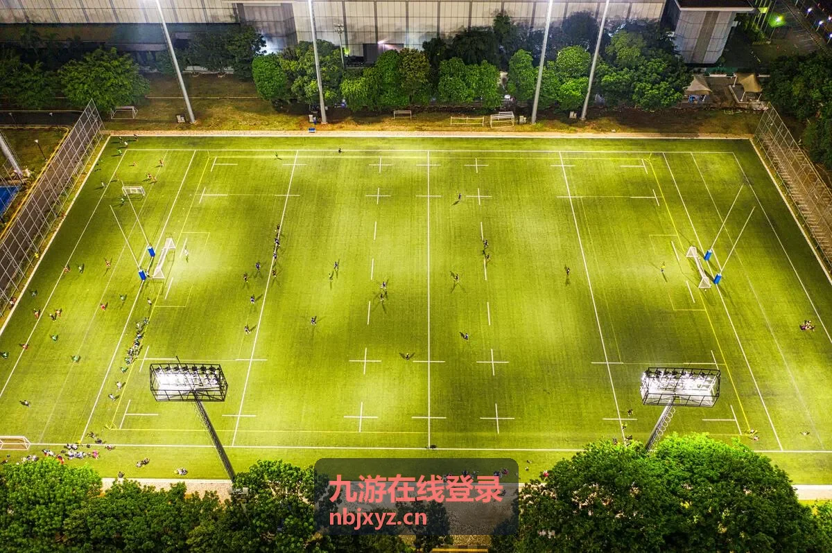 九游在线登录入口页面操作示意